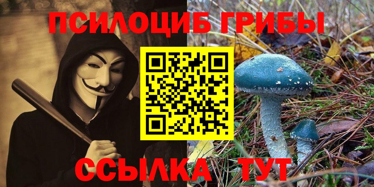 Тимашёвск  Галлюциногенные грибы Psilocybe  Вход с VPN 